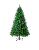 Evergreen Classics: 210cm Silvertip Fir Christmas Tree