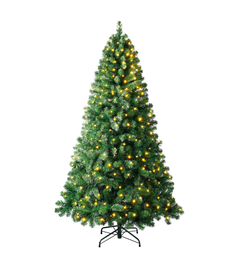 Oxford Pine: Prelit 210cm Christmas Tree