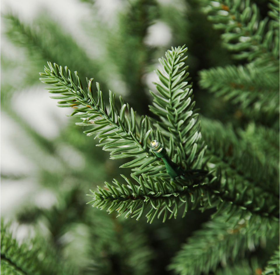 Evergreen Classics Calgary Spruce: Prelit 210cm Christmas Tree