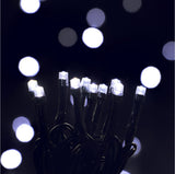 LED Decorative Lights - 50m
