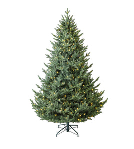 Evergreen Classics Calgary Spruce: Prelit 210cm Christmas Tree