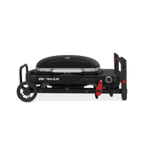 Weber Traveler Compact